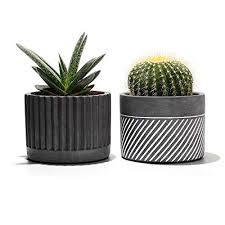 Accentuate the natural beauty of greenery with indoor cement planters from alibaba.com. Potey Cement Planter Flower Pot 4 1 Bonsai Containers Unglazed Medium For Indoor Plant With Drain Hole Set Of 2 Gray Buy Online In Antigua And Barbuda At Antigua Desertcart Com Productid 157052280