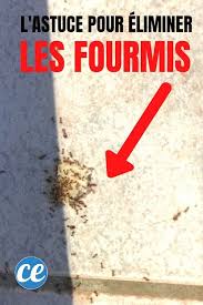 vous etes envahi par les fourmis a la maison ou meme dans le jardin pas tres agreable surtout quand c est dans l eliminer les fourmis anti fourmis fourmis
