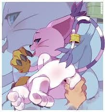 gatomon  funny cocks & best free porn: r34, futanari, shemale, hentai,  femdom and fandom porn