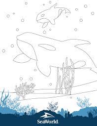 Pictures of sea world coloring pages and many more. Coloring Pages Games Seaworld