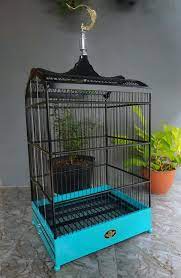 Jan 24, 2020 · sangkar burung dengan banyak pilihan warna. Da Ngalam Sangkar Posts Facebook