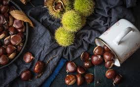 Check spelling or type a new query. Castagne Come Mangiarle Senza Ingrassare Vogue Italia