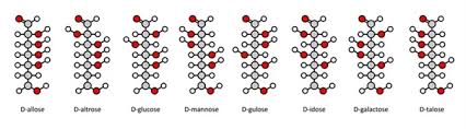 This video gives an elaborate explanation on how the cyclic haworth projection is formed from the open chain fischer projectio. Fischer And Haworth Projections Of Carbohydrates