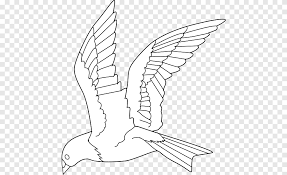 Indonesia mempunyai jutaan spesies langka yang patut menjadi kebanggaan buat kita. Gambar Seni Garis Burung Merpati Warna Sudut Putih Png Pngegg