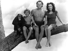 The Old Movie Guy's Page - Birthday star Johnny Sheffield as “Boy” with his  Tarzan family Cheetah, Johnny Weissmuller and Maureen O'Sullivan. They are  pictured from Tarzan's Secret Treasure (1941). Johnny was