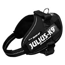 Harnais Julius K9 Idc Power Noir Pour Chien Harnais Chien Harnais Julius Harnais