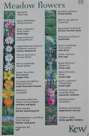 This database includes 25 listings and provides key information on each such as know more about the perennial flower japanese cobra lily plus all other interesting plants and flowers that start with j. Name That Flower The Meadow Flower Info Board At Kew Gardens London Meadow Flowers Flowers Perennials Planting Bulbs