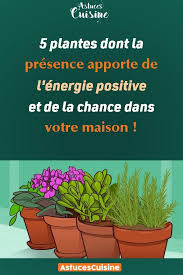 5 Plantes Dont La Presence Apporte De L Energie Positive Et De La Chance Dans Votre Maison Plantes Herbes Naturelles Bi Feng Shui Feng Shui Studio Plants