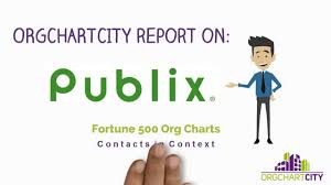 Publix Org Charts By Orgchartcity Youtube