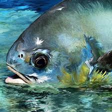 Fly Fishing Art Permit Fish Painting Fly Fishing Art Fish Art Fish Painting
