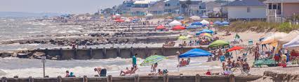 Maybe you would like to learn more about one of these? Edisto Beach South Carolina Lowcountry