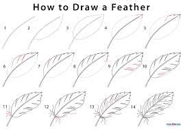 Let us start by drawing the central part of the feather, the rachis. How To Draw A Feather Step By Step Pictures Cool2bkids Flower Drawing Tutorials Feather Drawing Flower Drawing