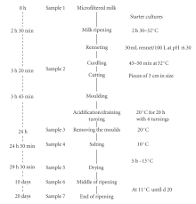 You Will Love Flow Chart Of How Cheese Is Made Mozzarella