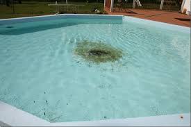 Brushing will loosen algae that is clinging in your pool walls, steps and ladders and get it into the water. How To Inspect Swimming Pools Online Video Course Student Discussions Internachi Forum