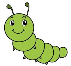 Draw one more circle beside the previous one. How To Draw A Caterpillar Step By Step For Kids Beginners