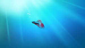 Con las nuevas ediciones de windows 10, ya no es tan simple, pero aún es posible. Windows Hp Wallpapers Group 79