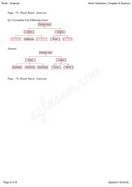Ncert Solutions For Class 9 Science Chapter 6 Tissues