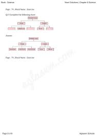 Ncert Solutions For Class 9 Science Chapter 6 Tissues