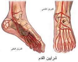 All Categories عيادة اسرة عمان الحديثة الدكتور