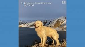 Последние твиты от abc news live (@abcnewslive). O1 Rzuwyy1l0wm