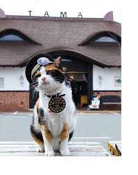 Michelle Cavazos Obituary (1958