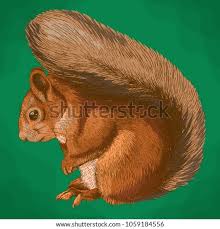 Act clr cs edition (january 1, 2012) language: Squinkies Coloring Pages At Getdrawings Free Download