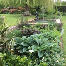 Planting Replenishment