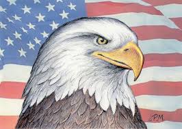 Help your child celebrate american culture with this bald eagle coloring page. American Bald Eagle