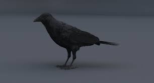 3d Crow Rigged Model Https Static Turbosquid Com Preview 001244 530 Zm 3d Crow Rigged Model D Jpg In 2020 Crow Model 3d Model