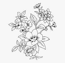 Maybe you would like to learn more about one of these? Drawing Line Drawing Flowers Png