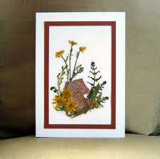Taking the time to make a greeting card personally, lets the receiver know just how special they are to you. Projects And Pressed Flowers Greeting Card Stockpile Minding My P S With Q