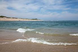 Maybe you would like to learn more about one of these? Head Of The Meadow Beach 2011