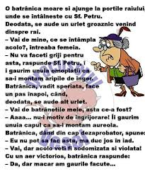 Maybe you would like to learn more about one of these? 560 Umor Romanesc Ideas In 2021 Umor Amuzant Glume Haioase