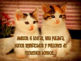 ¿buscas imágenes de gatitos con frases de amor, fotografías de gatos con frases graciosas o quizás un par de frases tiernas para tu gato? Imagenes Para Descargar Gratis De Gatitos Con Frases Tiernas Para Compartir En Facebook