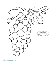 Jesus tells his disciples that he is the vine and they are the branches and as long as they are connected to him they will be. Coloring Grapes Clipart Novocom Top