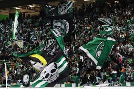 A juventude leonina, mais conhecida por juve leo, foi fundada a 17 de março de 1976 pelos toda a cor e alegria que a juventude leonina trouxe aos estádios portugueses fez com que nos outros. Sporting Clube De Portugal Pa Twitter Parabens Juventude Leonina O Sportingcp Felicita O Maior E Mais Antigo Grupo Organizado De Adeptos Em Portugal Https T Co Rjetwhwtju Https T Co Jdouqop5d3