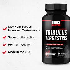 Image result for Tribulus terrestris