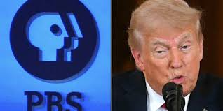 Mag 7 revenue estimates dragged Big Tech stocks down, not tariff talk, says Dan  Niles