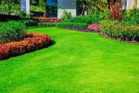 Hiring a dallas lawn care company. Lawn Care Dallas Tx Landscaping Lawn Mowing Edging