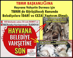 Mecliste Gorusulecek Hayvanlari Koruma Kanunu Na Belediyelere Idari Ve Cezai Yaptirim Konmasi Icin Dilekceye Katilin Haykonfed Hayvanlarin Yasam Haklari Konfederasyonu