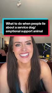 Handling Tenant Deceit Over Service Animals