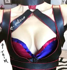 To make a harness for your fat cat, start by measuring your cat around its neck and middle, and between its neck and the middle of its back. Harley Quinn Arkham Knight Costume Diy Harness Tutorial Love Maegan