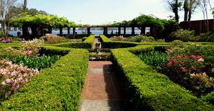 Same day delivery, low price guarantee.send flowers, baskets, funeral if you wish to send a floral arrangement to a loved one currently residing in any neighborhood or city located in this florida city, please have their address. Loveliest Parks And Gardens In Jacksonville Florida