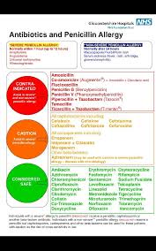 antibiotics penicillin allergy poster what to avoid if