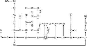 Image result for Dissotis congolensis