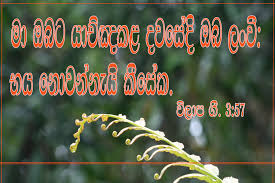We did not find results for: Sinhala Bible Words Wallpaper 1800x1200 Wallpaper Teahub Io