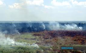 Kuala Langat Selatan forest fire ...