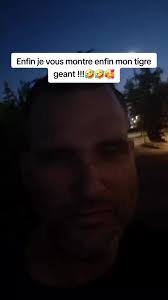 Meet My Giant Tiger with Frederic Tremblay