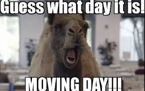 No One Is Excited About Moving Day But Men On The Move Can Make It A Little Better For You Hire Us Today Funny Memes Morning Humor Funny Pictures