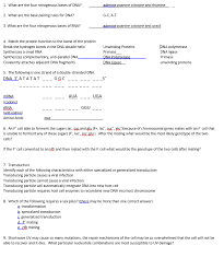 Bases bonded together are termed 'paired', and are very specific as to which base they will join to. Solved 1 What Are The Four Nitrogenous Bases Of Dna 2 Chegg Com